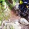 Battling Crazy Rocky lane in Wales.  Trans Euro Trail UK. XT660Z and KTM950.